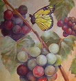 Rocky River Vineyards Wine Bottle Artwork